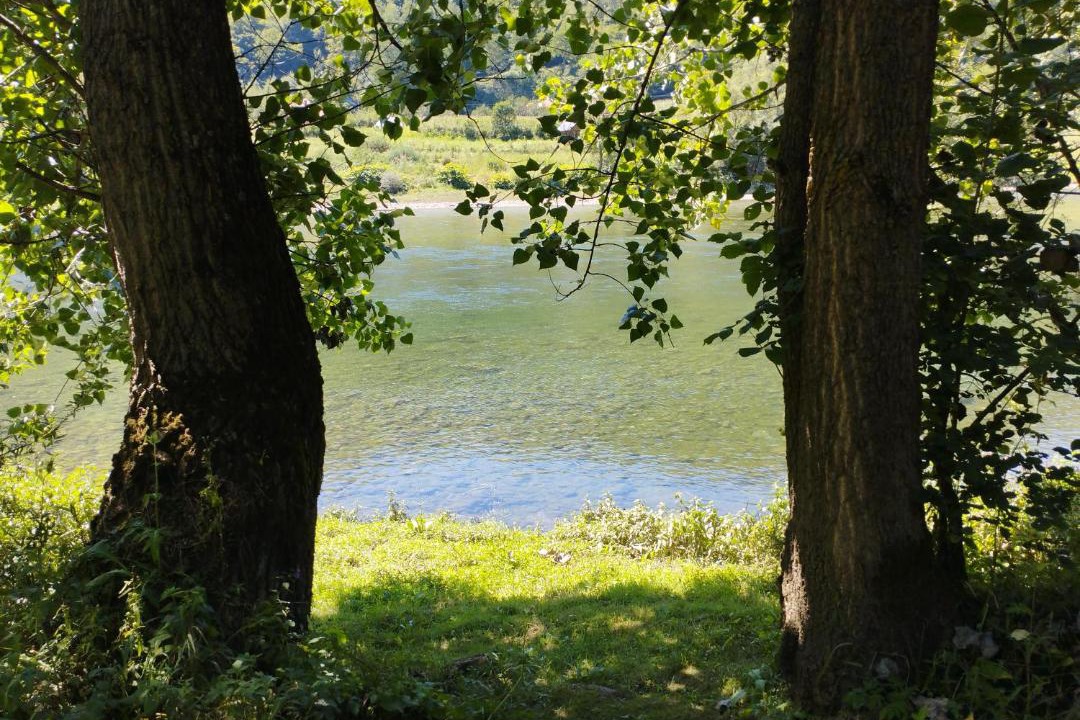 Photo of Others in Bajina Basta