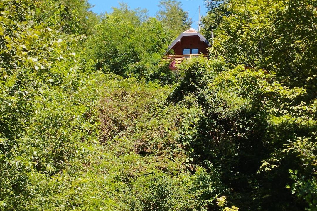 Photo of Outdoor in Bajina Basta