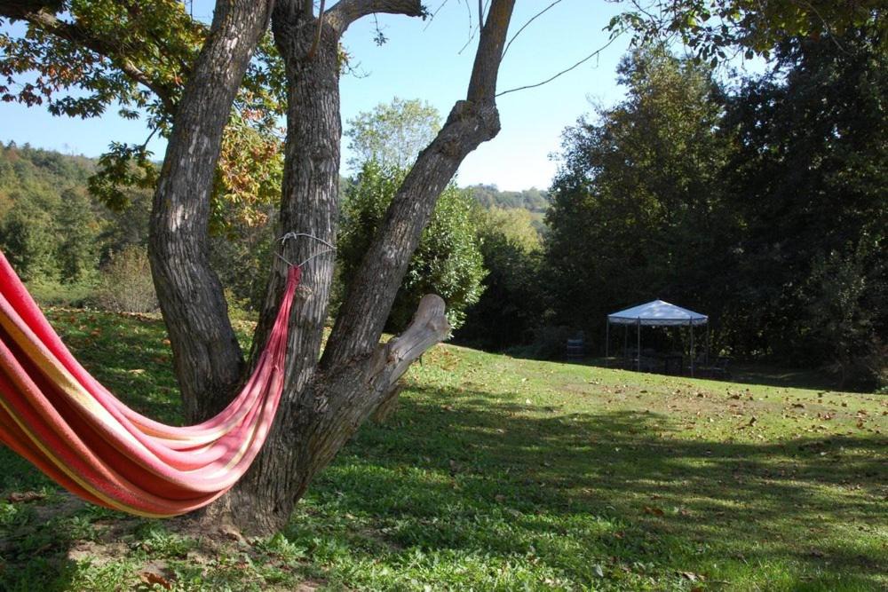 Photo of Outdoor in Murazzano
