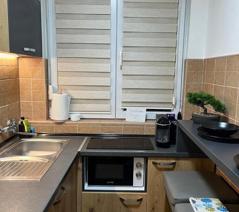 Photo of Kitchen in Banovo brdo