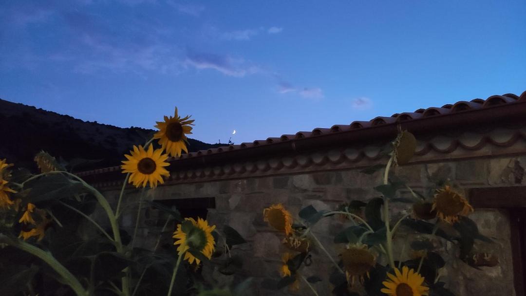 Photo of Buildings in Capaccio Scalo
