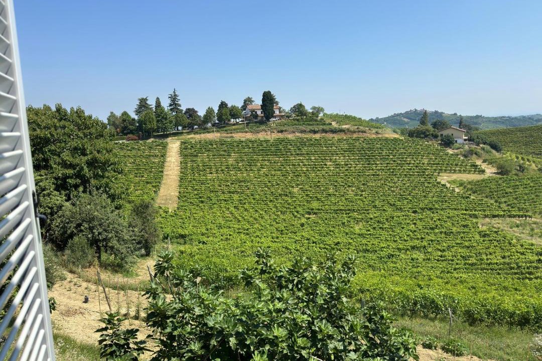 Photo of Others in Castel Rocchero