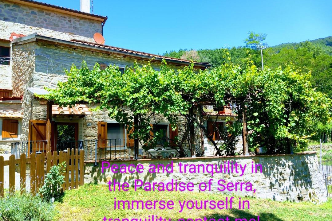 Photo of Others in Chiusi della Verna