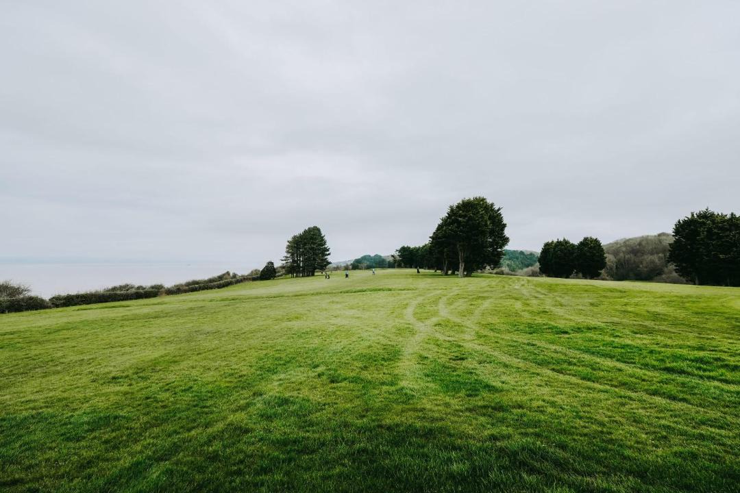 Photo of Others in Walton-in-Gordano
