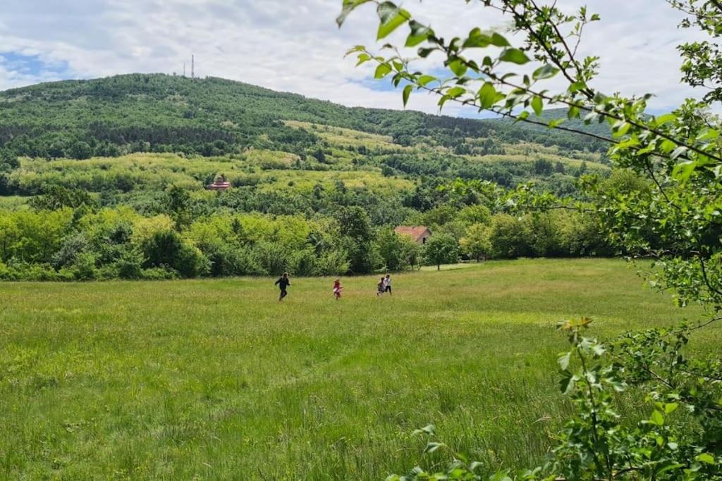Photo of Others in Mladenovac