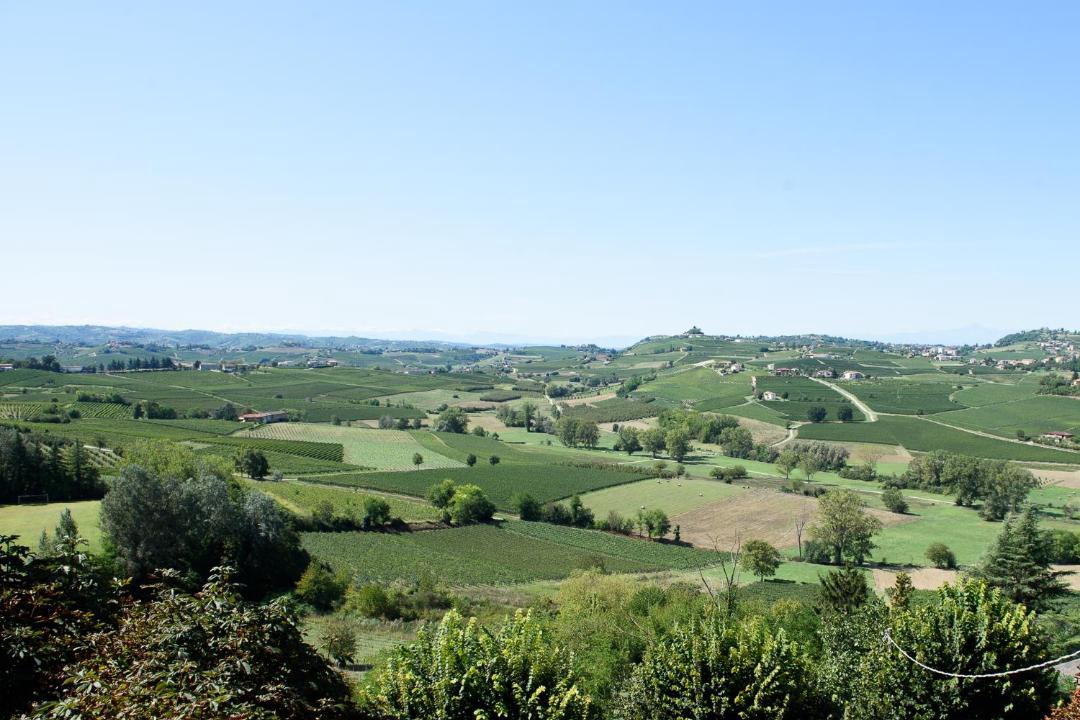 Photo of Others in Agliano Terme