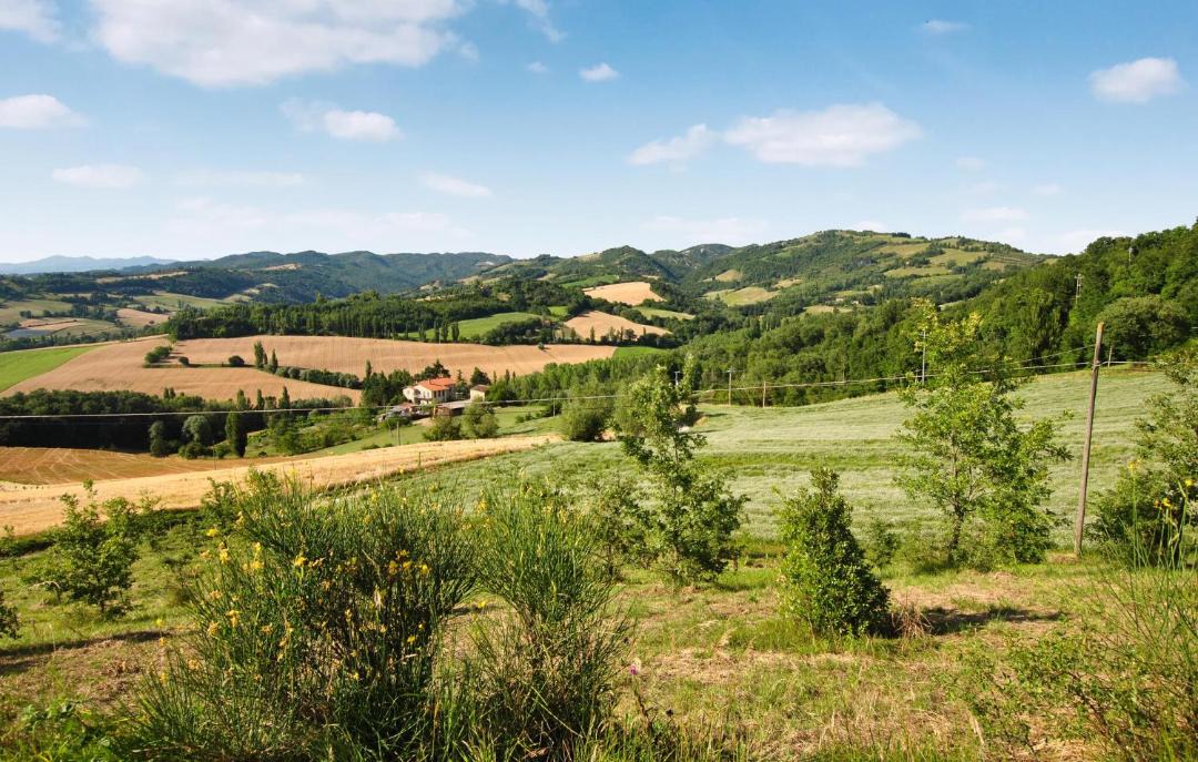 Photo of Others in Nerbisci