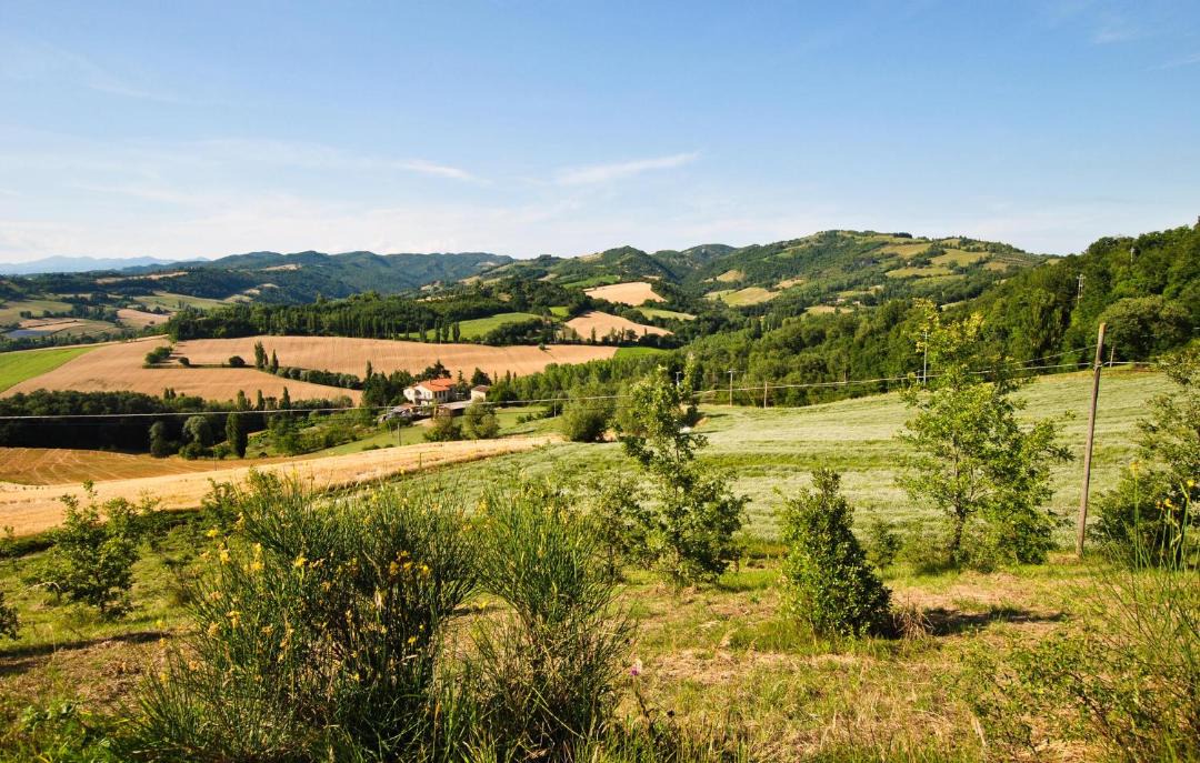 Photo of Others in Nerbisci