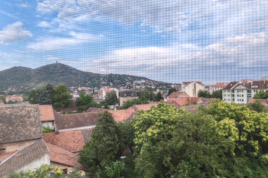 Photo of Others in Vrsac