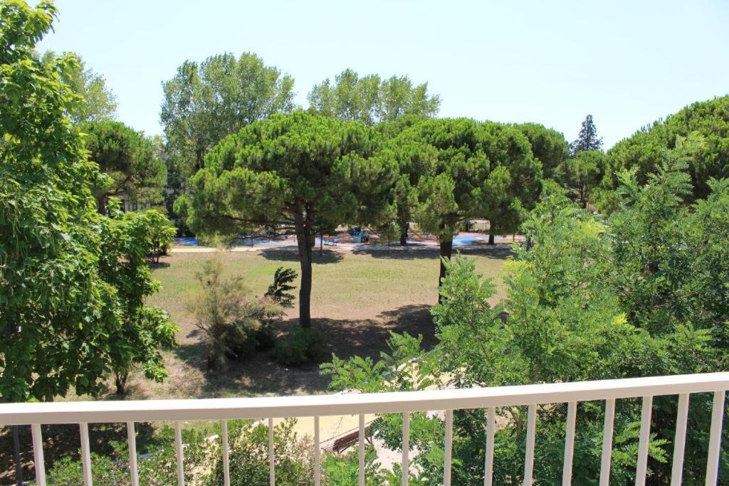 Photo of Others in Ca' Savio