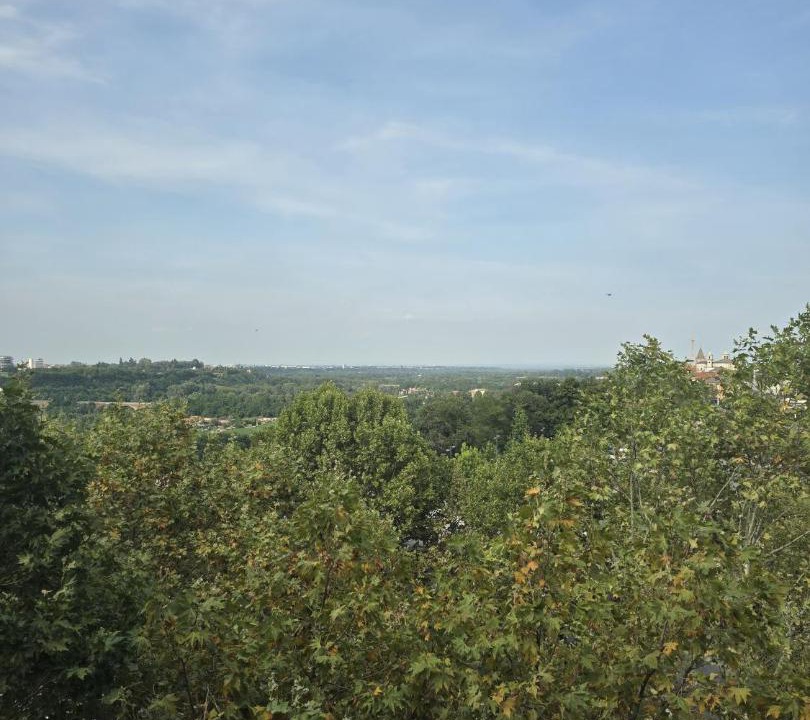 Photo of Others in Cuneo