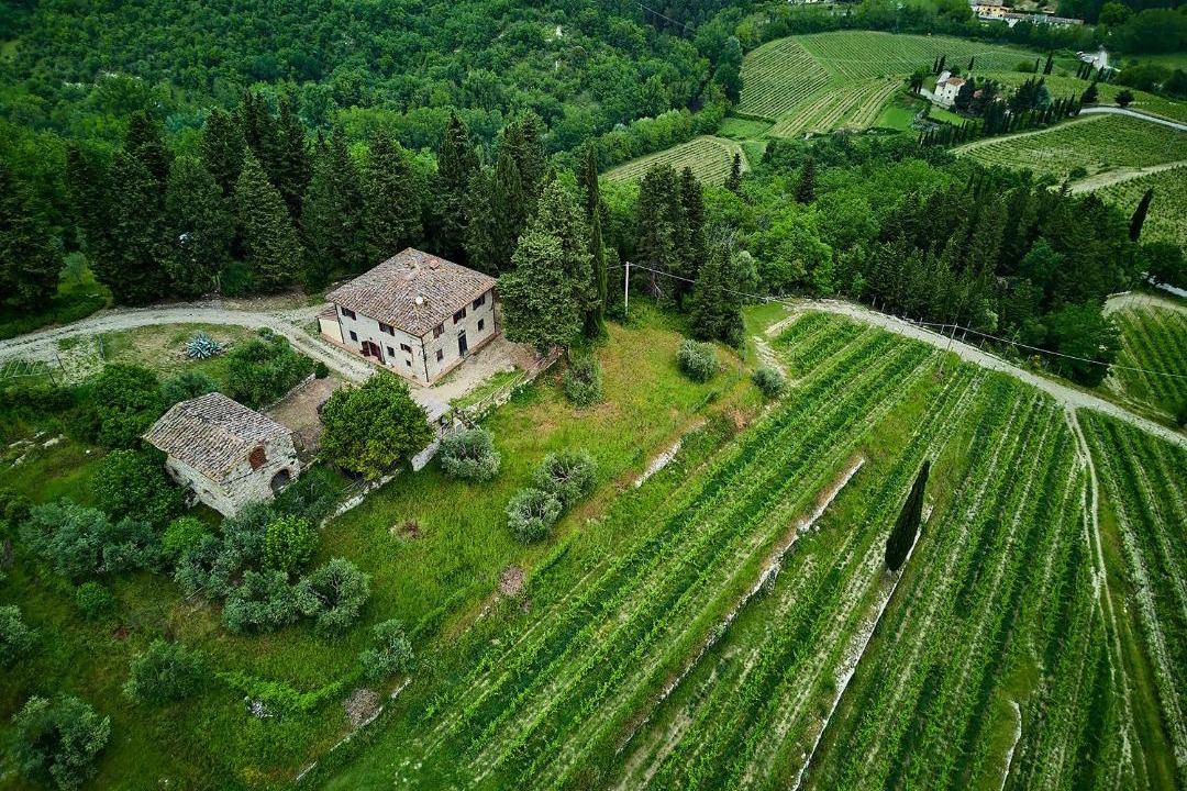 Photo of Others in Greve in Chianti