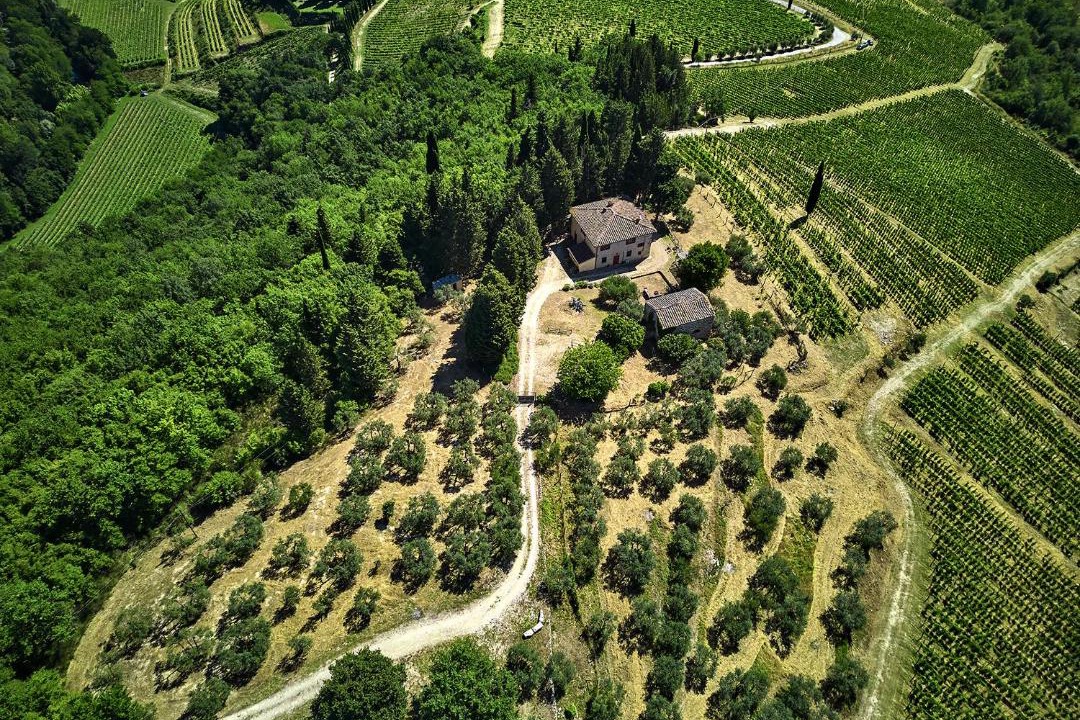 Photo of Others in Greve in Chianti