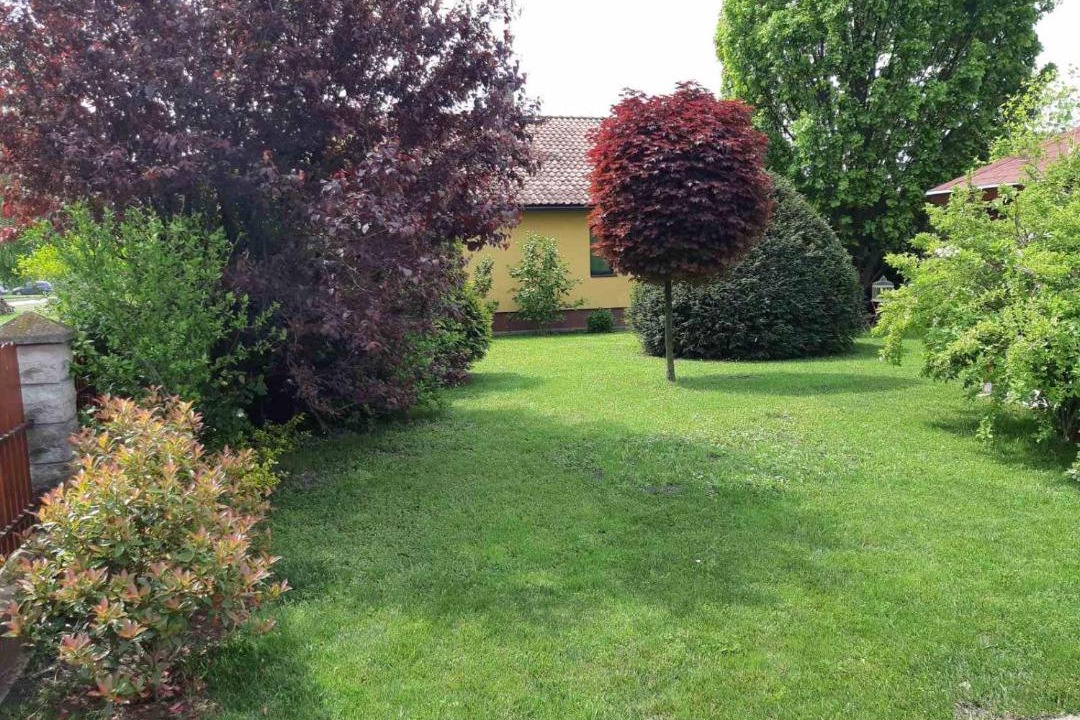 Photo of Outdoor in Stari Banovci