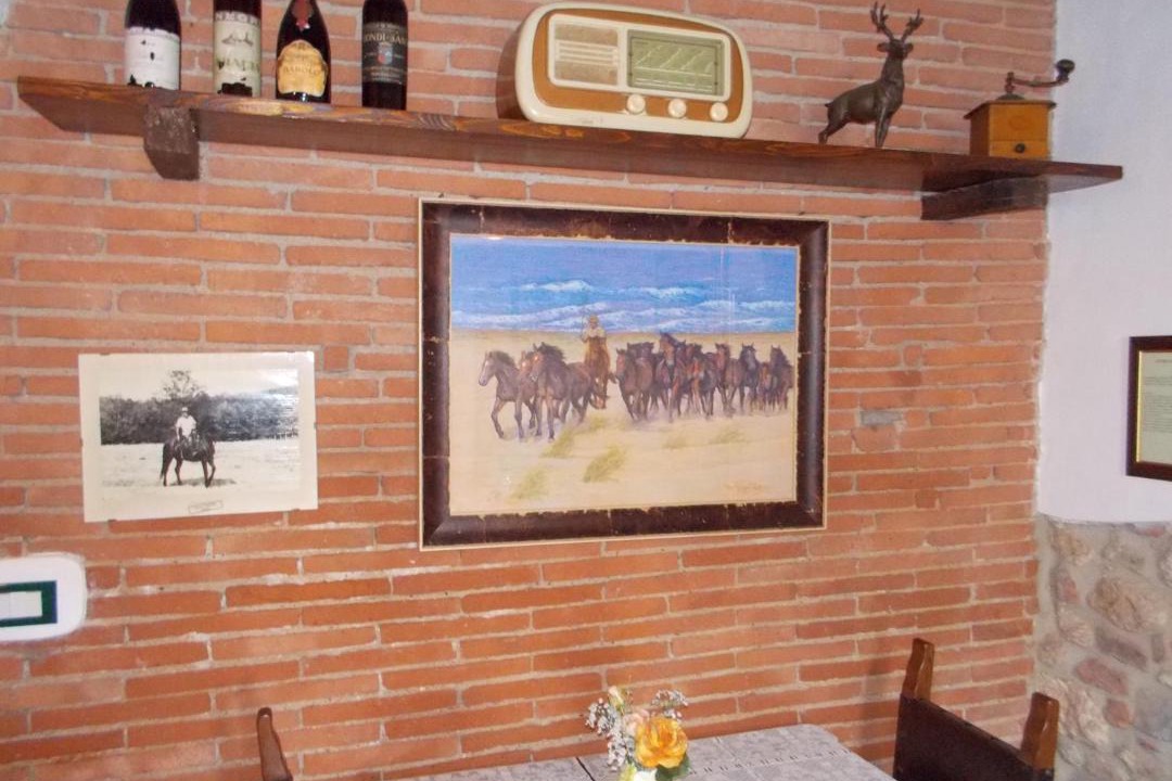 Photo of Others in Civitella Marittima