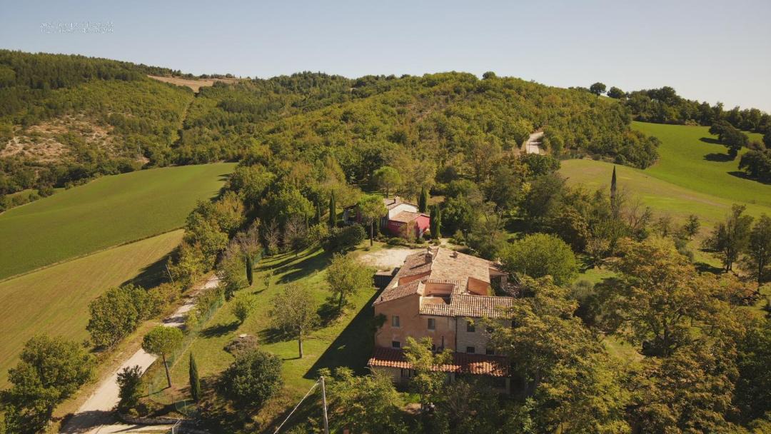 Photo of Others in Molleone