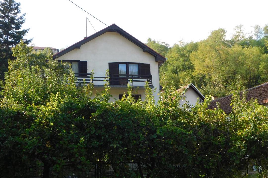 Photo of Others in Mladenovac