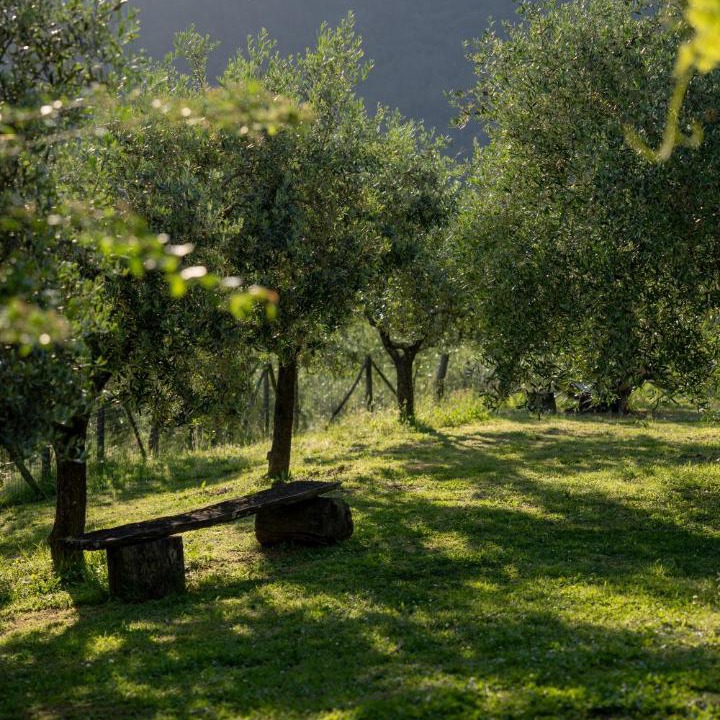 Photo of Others in Calice al Cornoviglio