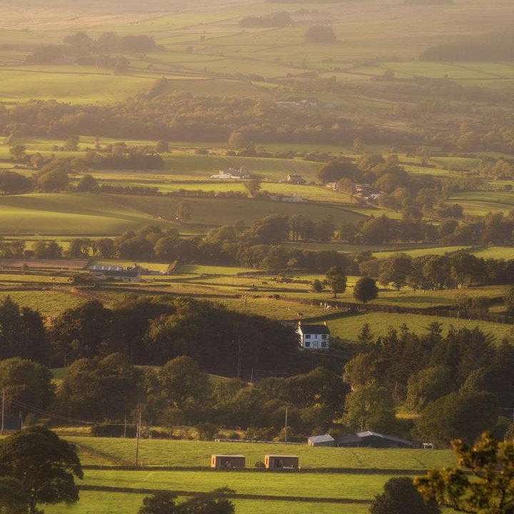 Photo of Others in Buckna