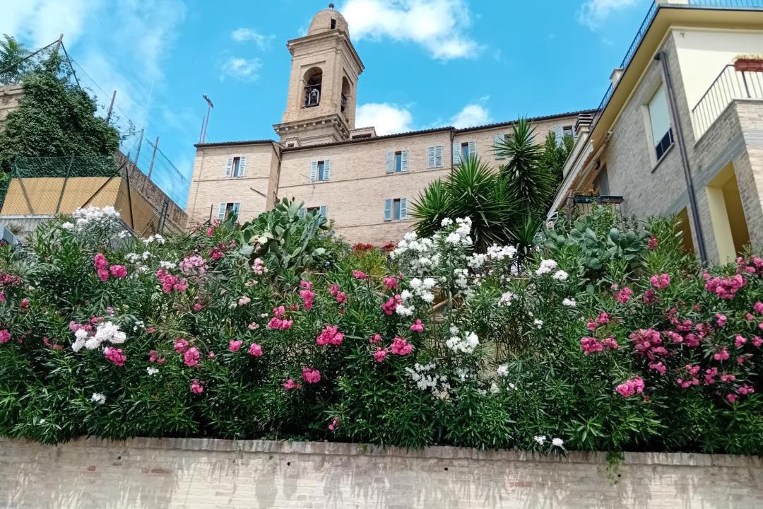 Photo of Others in Corridonia