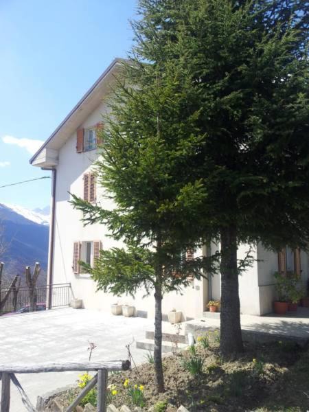 Photo of Others in Montemonaco