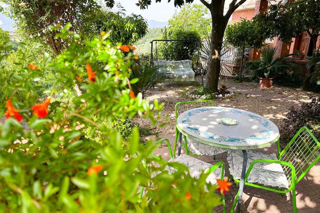 Photo of Others in Paliano