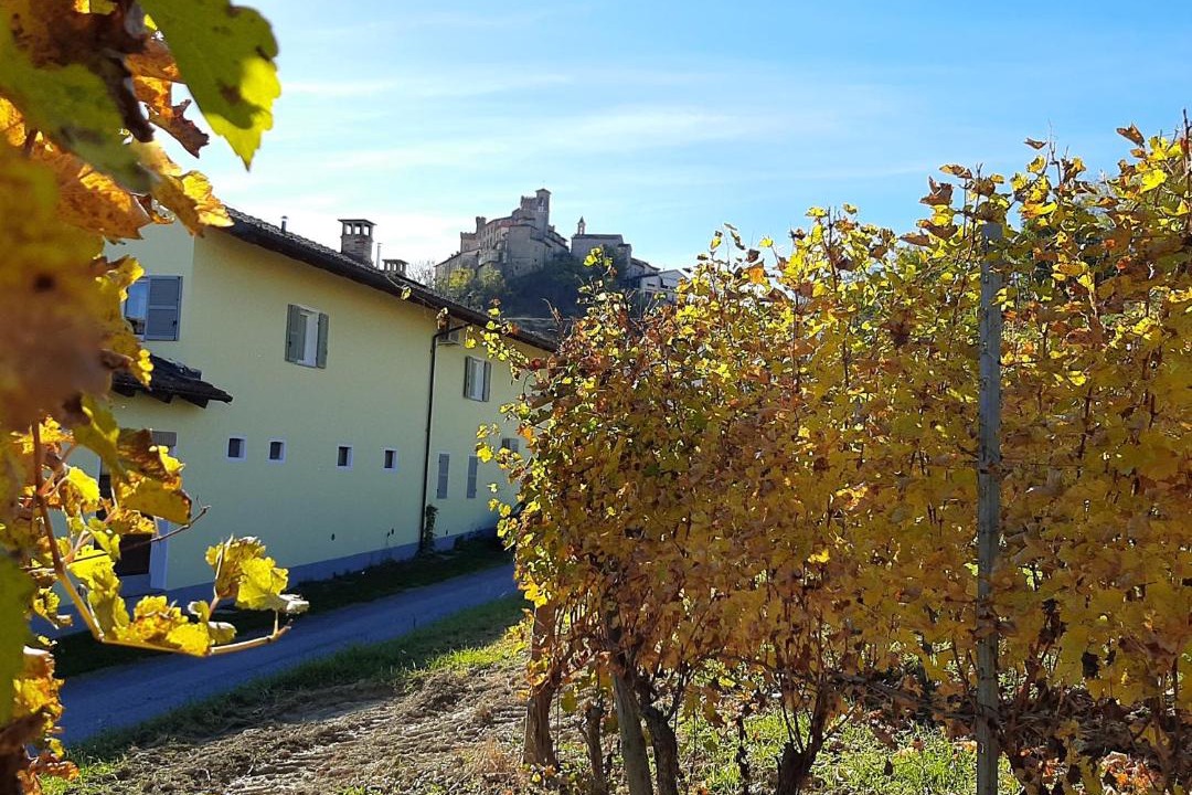Photo of Others in Barolo