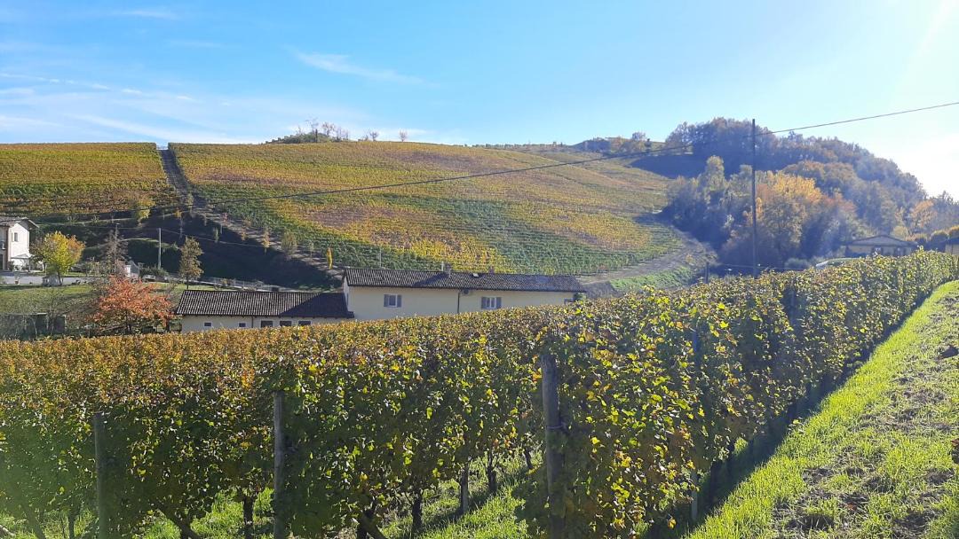 Photo of Others in Barolo