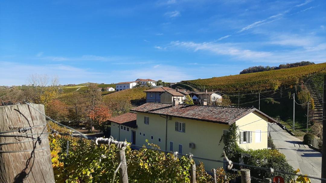 Photo of Others in Barolo