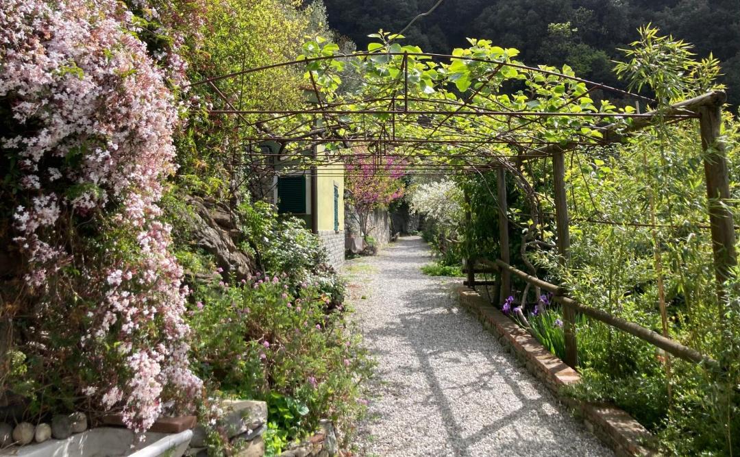Photo of Others in Monterosso al Mare