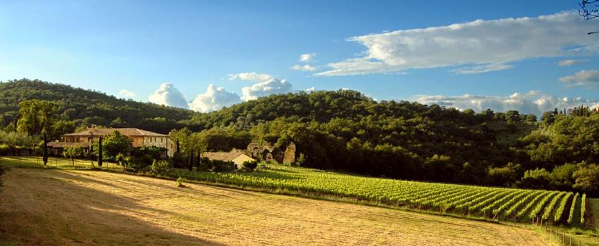 Photo of Others in Montefollonico