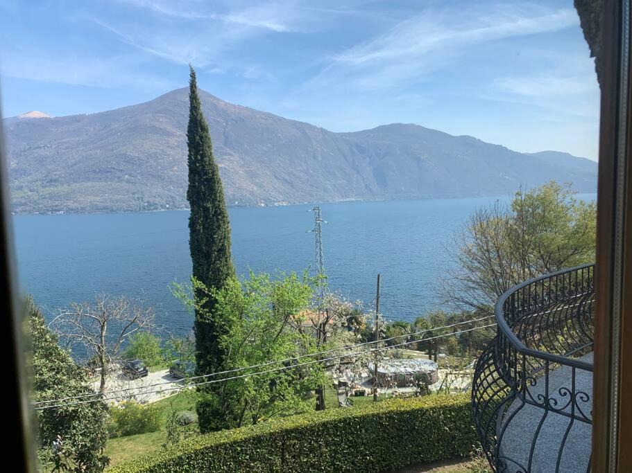 Photo of Others in Nizzolino