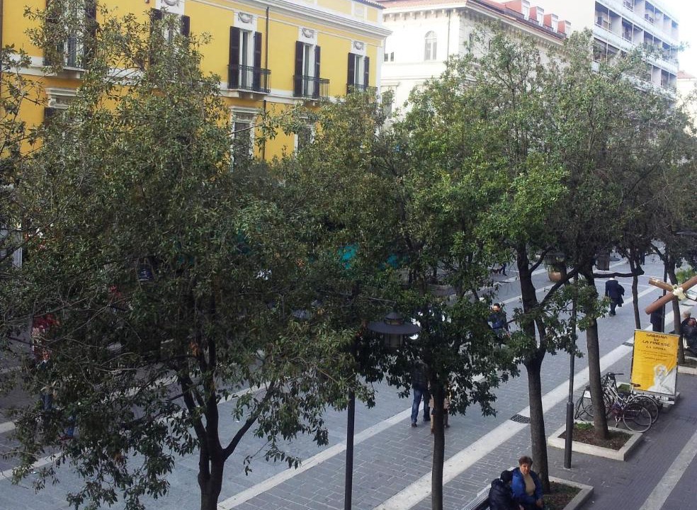 Photo of Buildings in Pescara