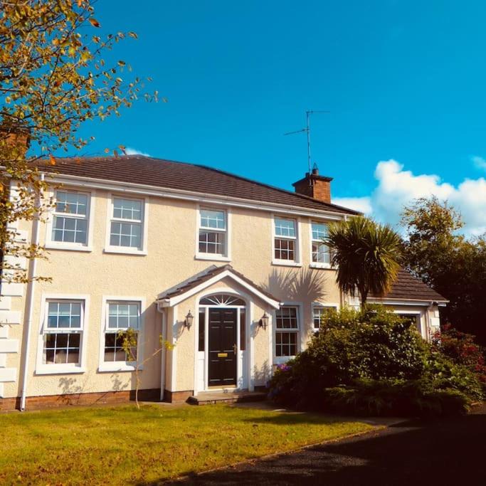 Photo of Buildings in Banbridge