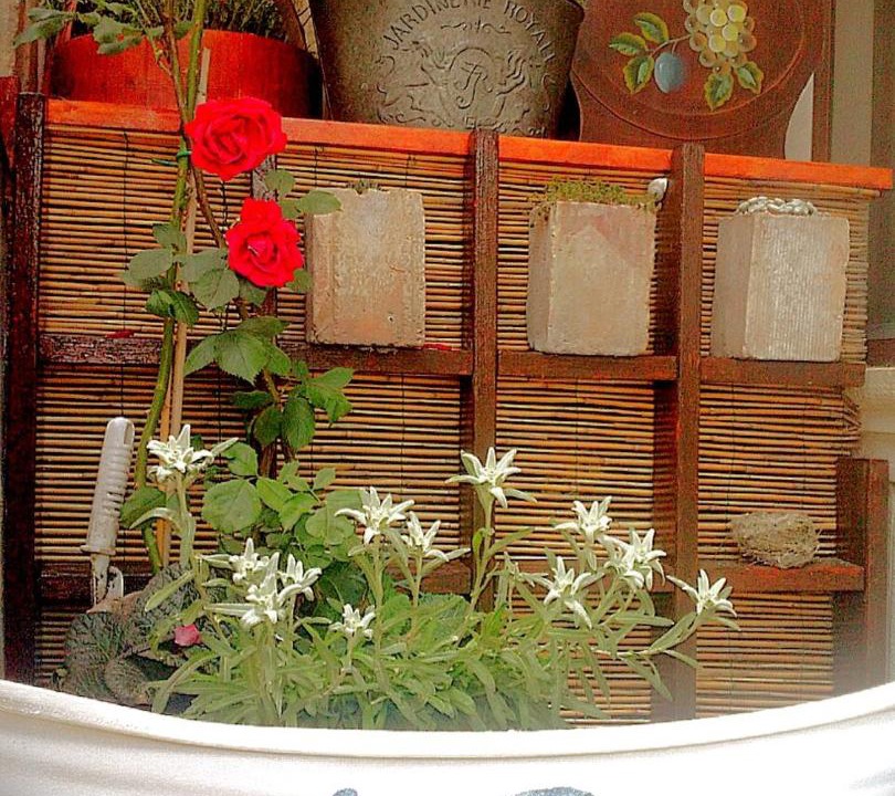 Photo of Patio Balcony in Pescocostanzo