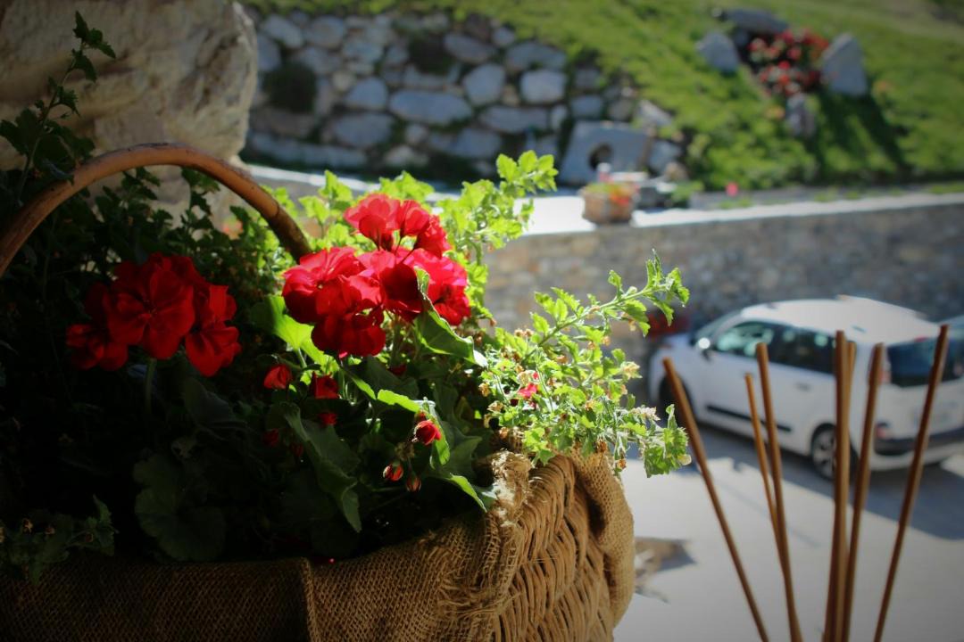 Photo of Others in La Cretaz-Roisan