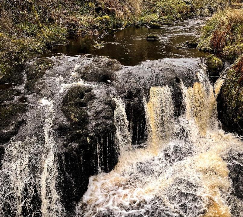Photo of Others in Glenariff