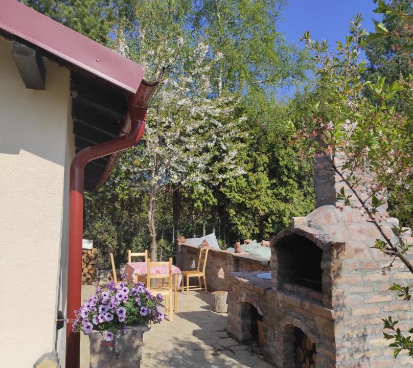 Photo of Others in Rakovica
