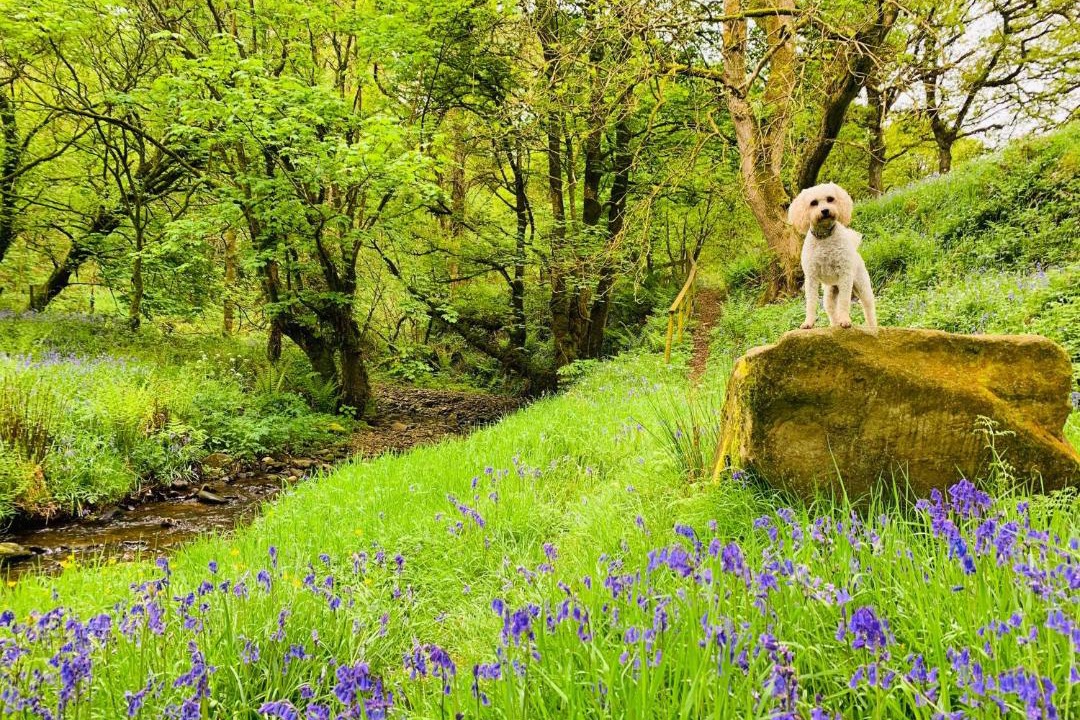 Photo of Others in Omagh