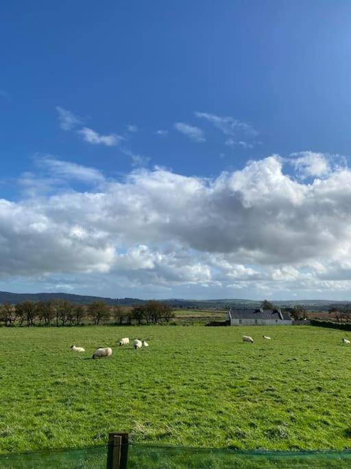 Photo of Outdoor in Omagh