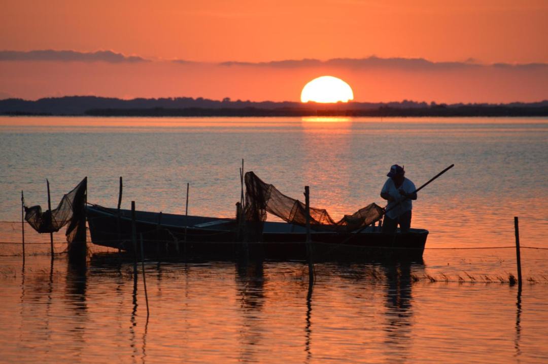 Photo of Others in Lesina