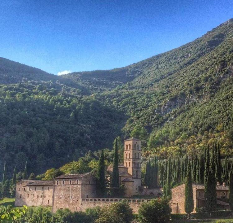 Photo of Outdoor in Sambucheto