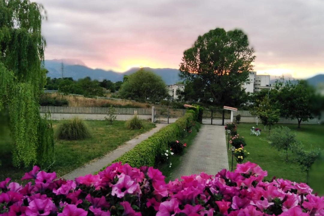 Photo of Others in Sulmona