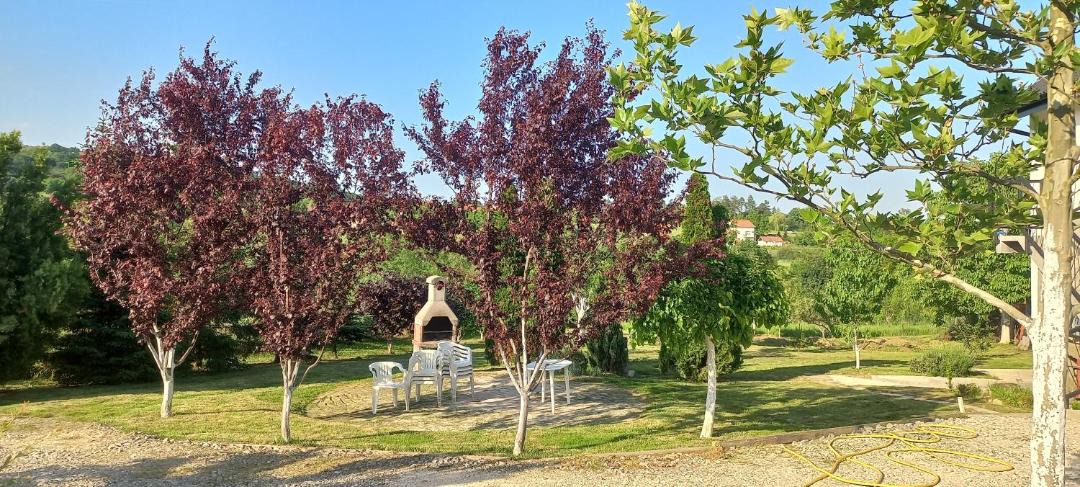Photo of Others in Mladenovac