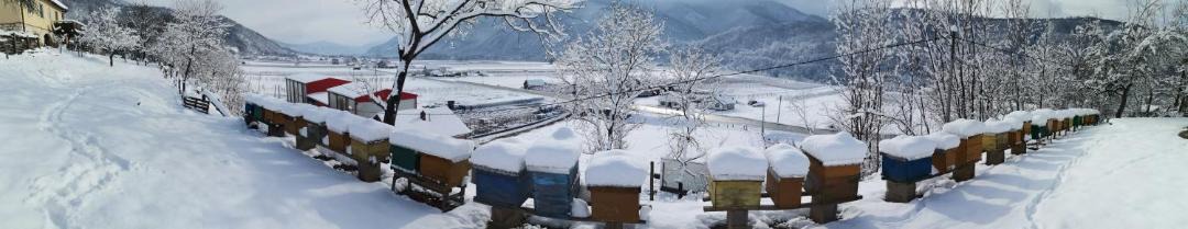 Photo of Others in Bajina Basta