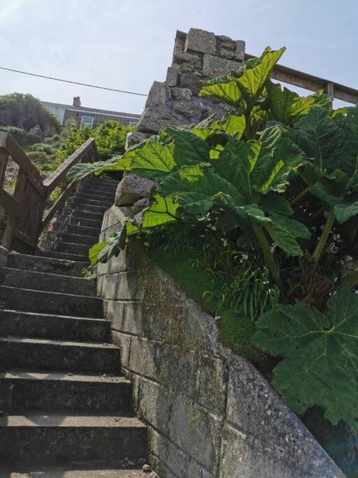 Photo of Others in Sennen Cove