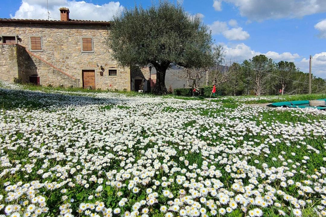 Photo of Others in Lisciano Niccone