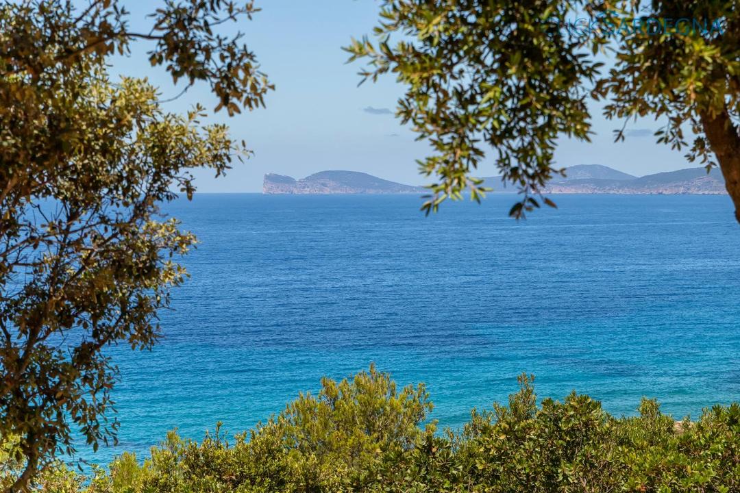 Photo of Others in Alghero
