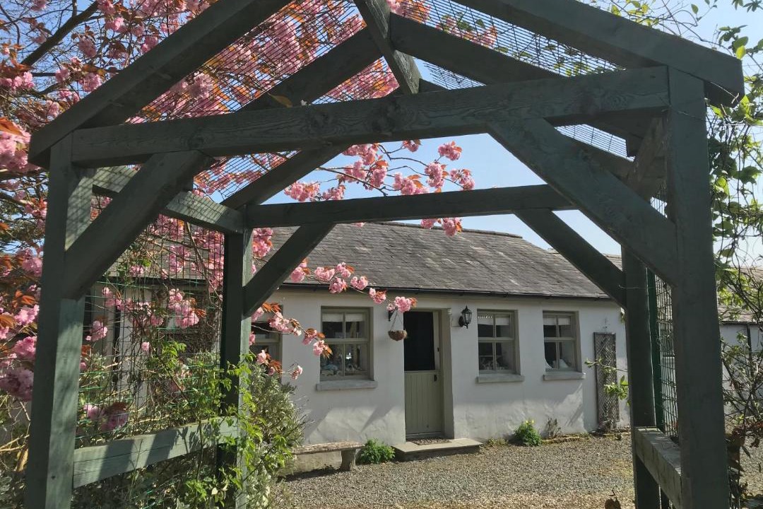Photo of Buildings in Downpatrick