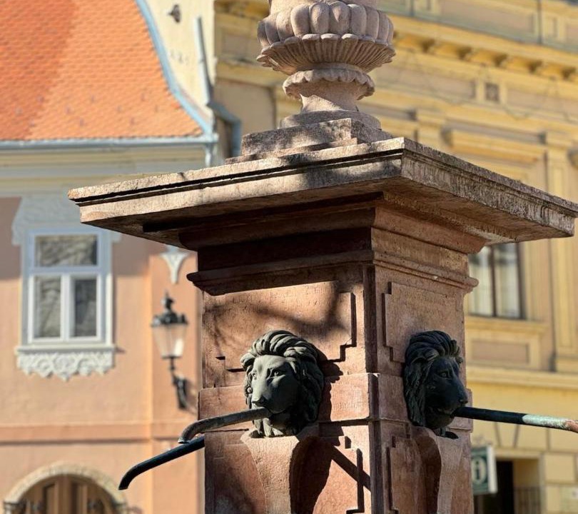 Photo of Others in Sremski Karlovci